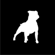 Icon of program: Cuidado con el Perro
