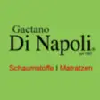 Icon of program: Di Napoli Schaumstoffe & …