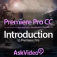 Icon of program: Intro Course For Premiere…