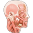 Icono de programa: Interactive Body
