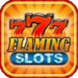 Icon of program: Flaming 7s