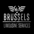 Icon of program: Brussels Limousine Servic…