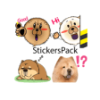 Icon of program: Chow Chow Dog Stickers Pa…
