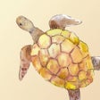 Icon of program: Tsurukame - For WaniKani