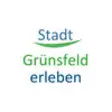 Icon of program: Stadt Grnsfeld