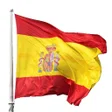 Icon of program: Spanish Verbs Pro
