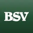 Icon of program: BSV Mobile