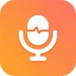 Icon of program: Kingshiper Voice Recorder