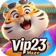 Icono de programa: vip23Maze