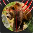 Icon of program: Wild Bear Hunter 3D