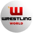Icon of program: Wrestling World News
