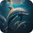Icon of program: Dolphins Video Live Wallp…