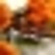 Icon of program: Autumn Live Wallpaper