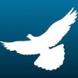 Icon of program: flightControlRP - Pigeon …