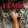 Icon of program: FEMSA 2013 Informe Anual