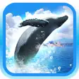 Icon of program: REAL WHALES Find the ceta…