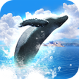 Icon of program: REAL WHALES Find the ceta…