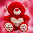 Icono de programa: Teddy Bear Wallpapers HD