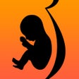 Icon of program: Pregnant Eating: A Guide …