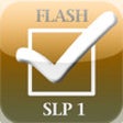 Icon of program: SLP Flip Pro