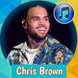 Icono de programa: Chris Brown Go Crazy Song