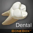 Icon of program: BoneBox - Dental Lite