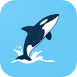 Icon of program: Coji TV Browser