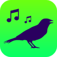 Icon of program: All Birds of North Americ…