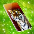 Icono de programa: Tiger HD Live Wallpapers …