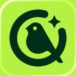 Icon of program: Kiwibit