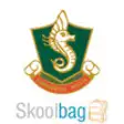 Icon of program: Swansea High School - Sko…