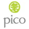 Icon of program: Pico Brochure