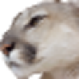 Icon of program: PumasViewer