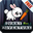 Icon of program: Bunny Run Adventure