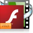 Icon of program: Flash Video Converter Fac…