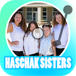 Icon of program: all of songs Haschak Sist…