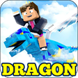 Icon of program: Dragon Craft Mod