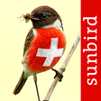 Birds of Switzerland - a field guide to identify the bird species native to Switzerland icon