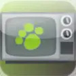 Icon of program: CatTV