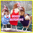 Icono de programa: Good Morning Greeting Mes…
