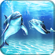 Icono de programa: Dolphins Live Wallpaper