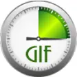 Icon of program: WonderFox Video to GIF Co…