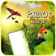 Icon of program: Parrot Insta DP Maker  Lo…