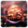 Icon of program: Warmlight Beautiful Theme…
