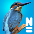 Icon of program: Vogels van Europa