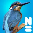 Icon of program: Vogels van Europa