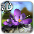 Icono de programa: Nature Live Spring Flower…