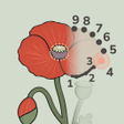 Icon of program: DotCalm: Connect the Dots