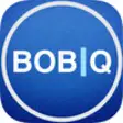 Icon of program: BOB Questions