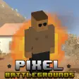 Icon of program: Pixel Battlegrounds : Los…